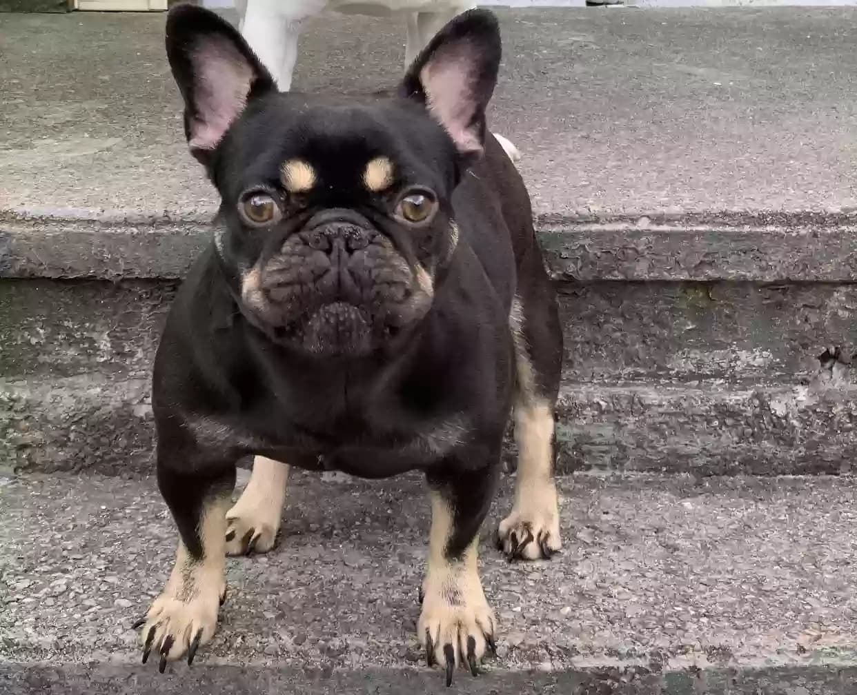 Chanel, back home in Rhode Island