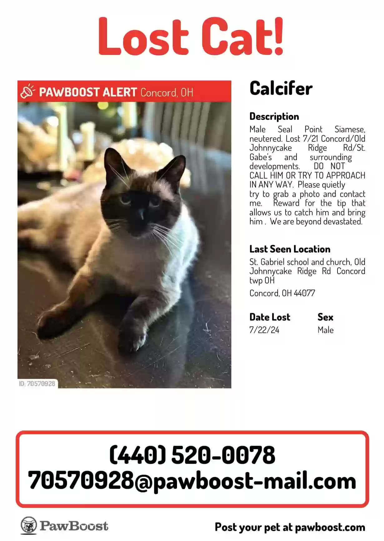 Calcifer, back home in Ohio