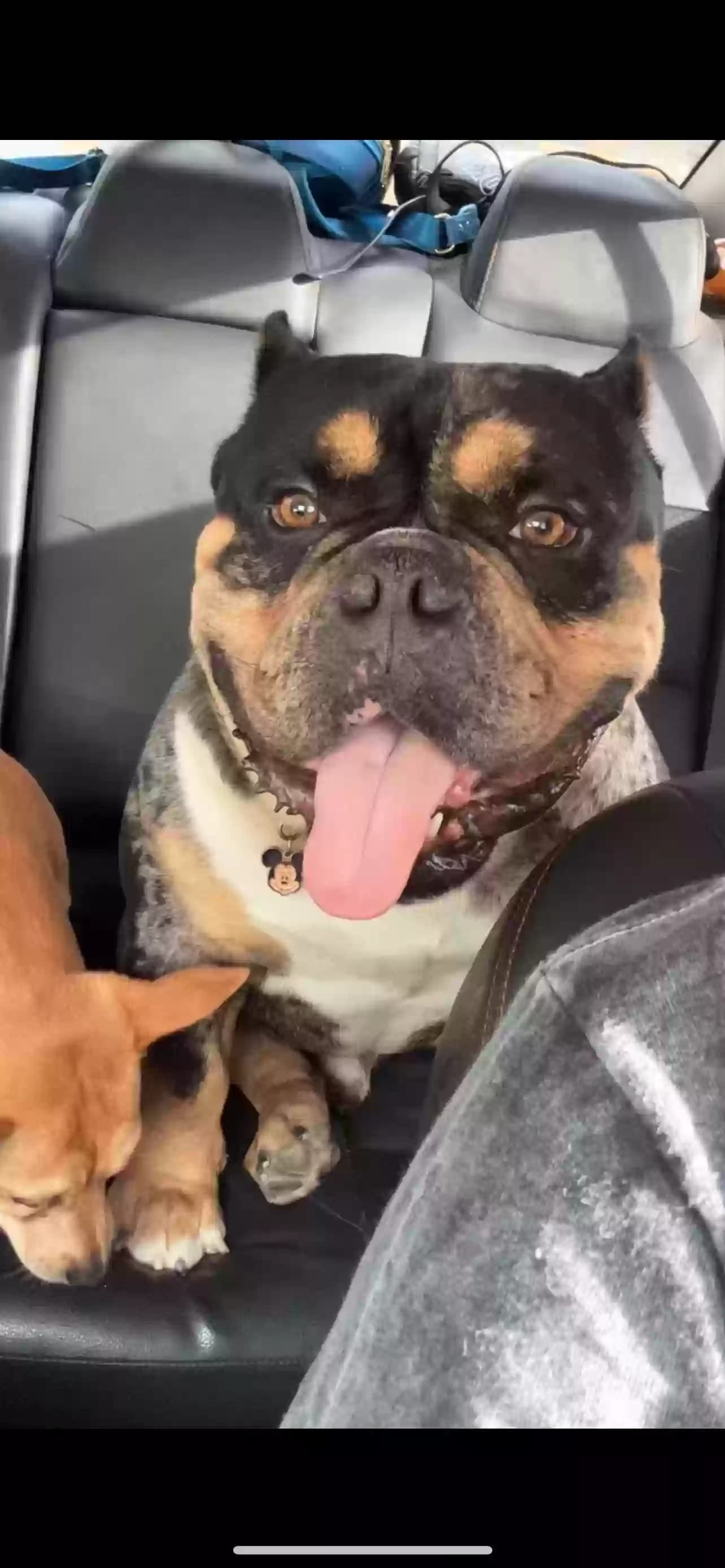 fatboy, back home in California