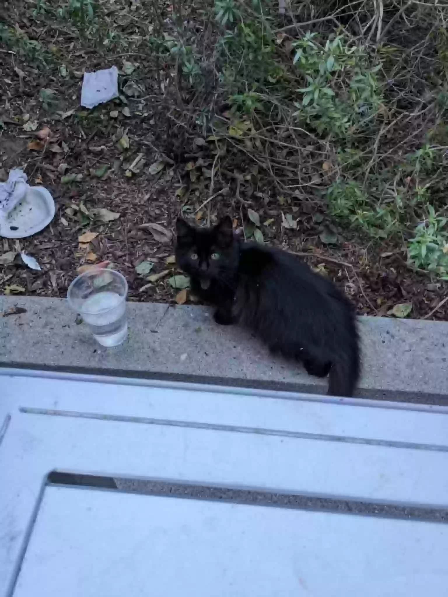 Unknown, back home in California