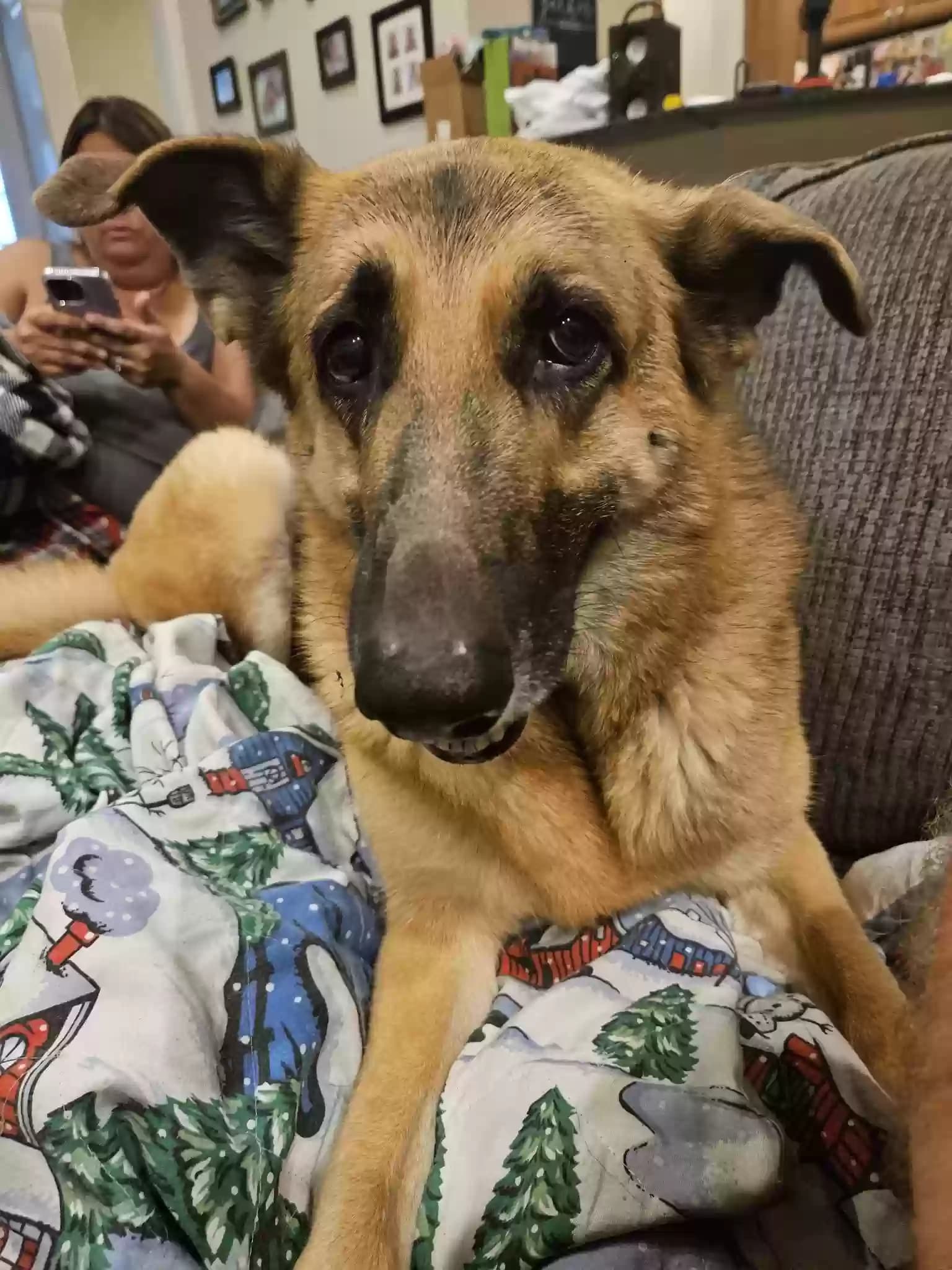 Zoey, back home in Florida