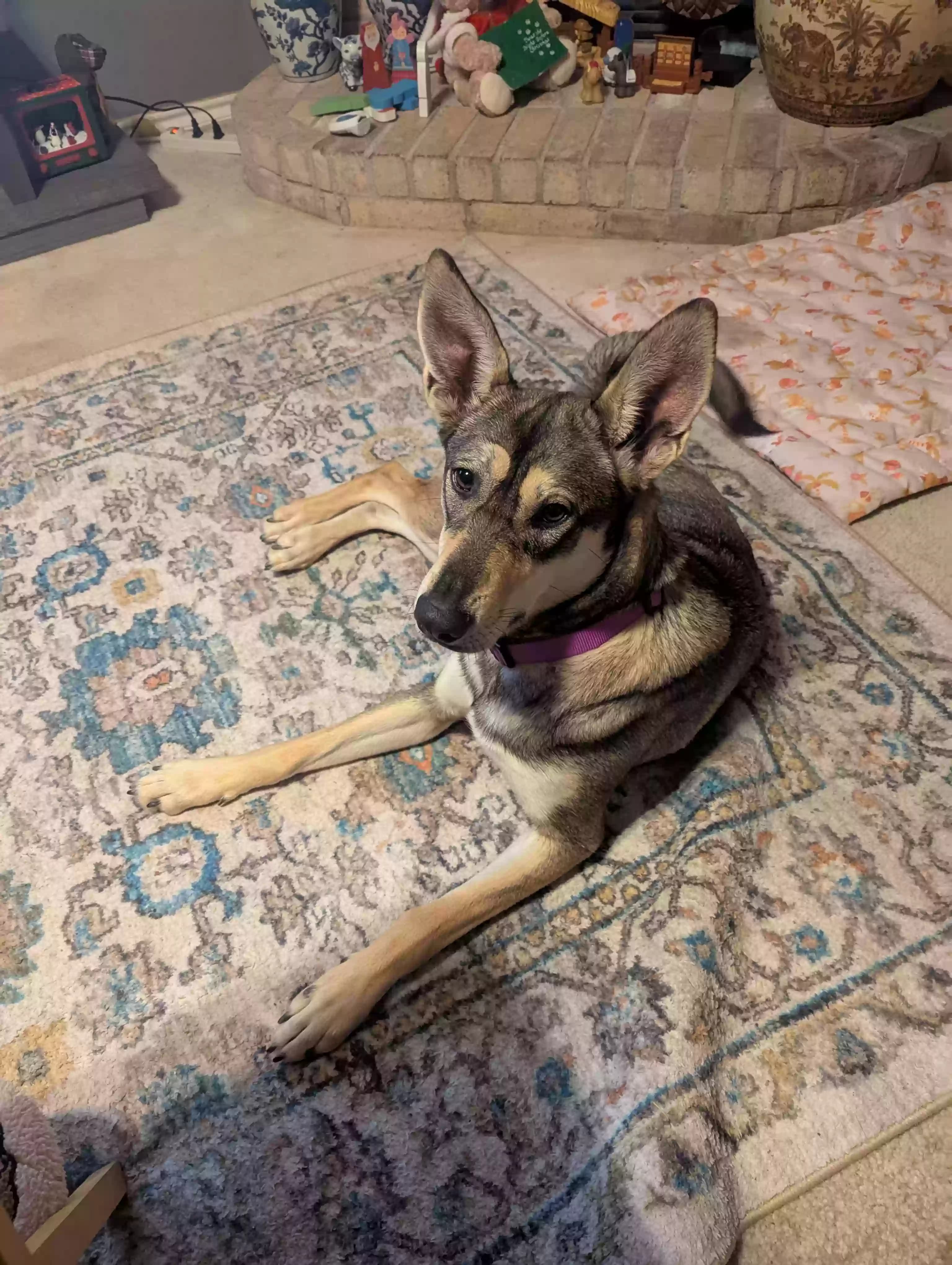 Brandy (Yotee), back home in Texas