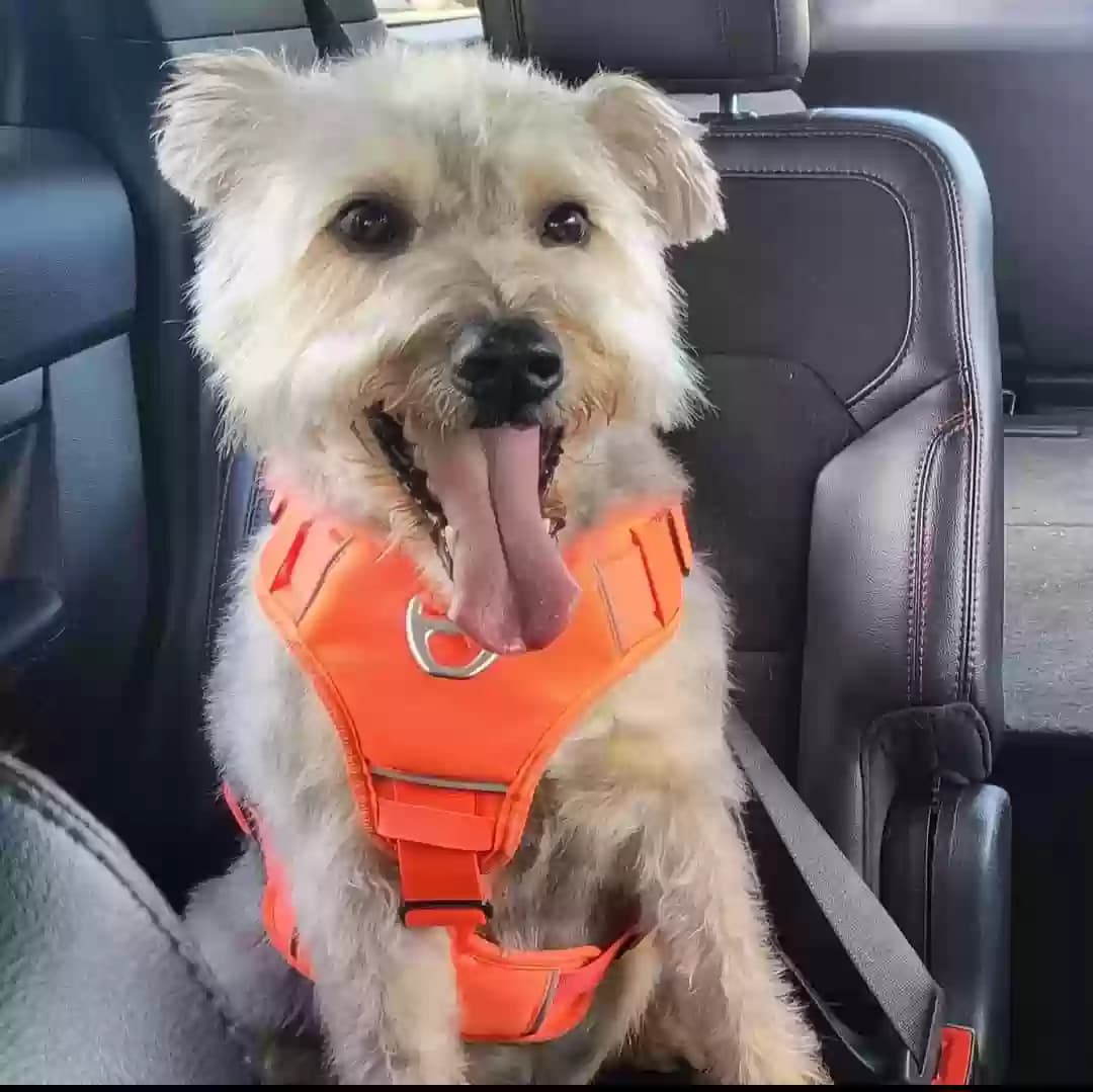 Caesar, back home in Texas