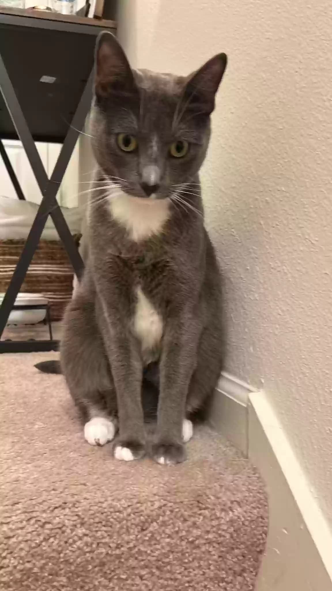 Brock, back home in Georgia