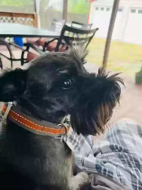 WEEZY, back home in North Carolina