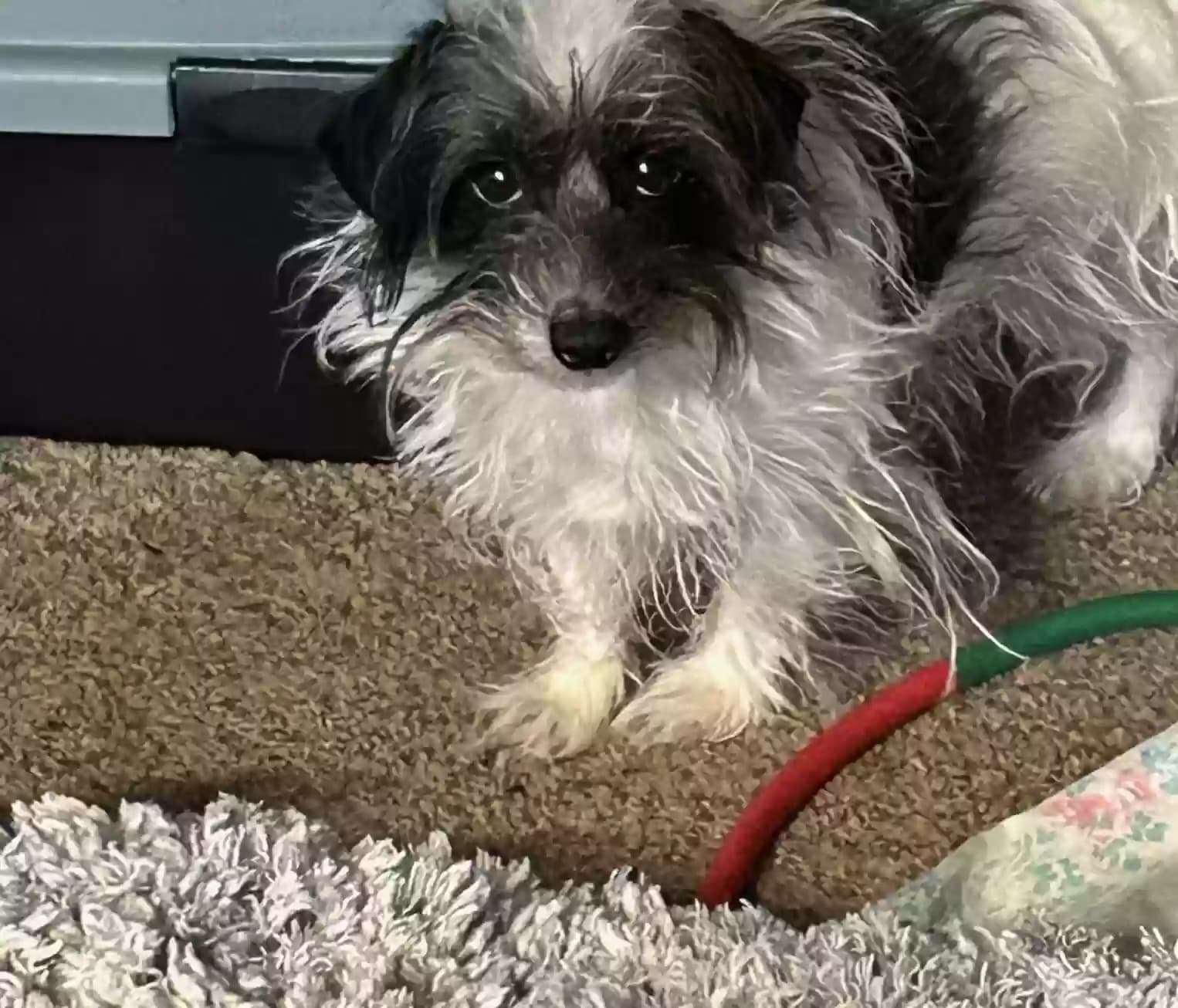 Emmie Lou, back home in Louisiana
