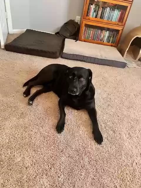 Marcy, back home in Texas