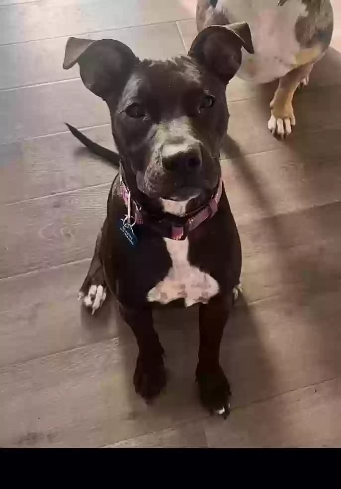 Bonnie, back home in Texas