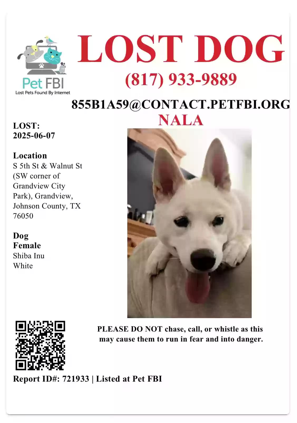 Nala, back home in Texas