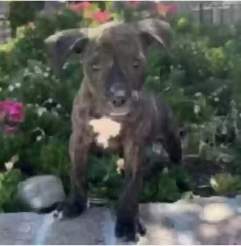 Jack, back home in California