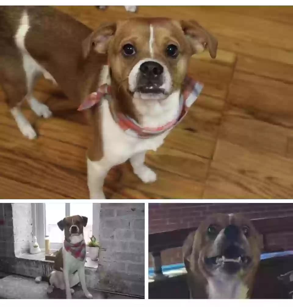 Dakota, back home in Louisiana