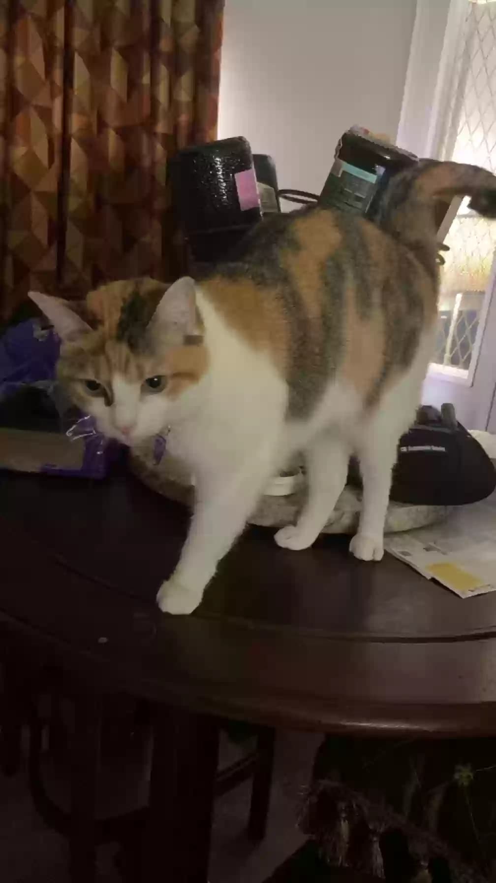 Wanda, back home in Louisiana