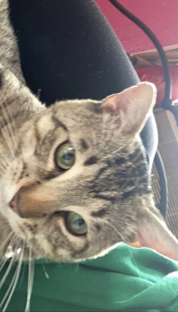 Leo, back home in New Jersey