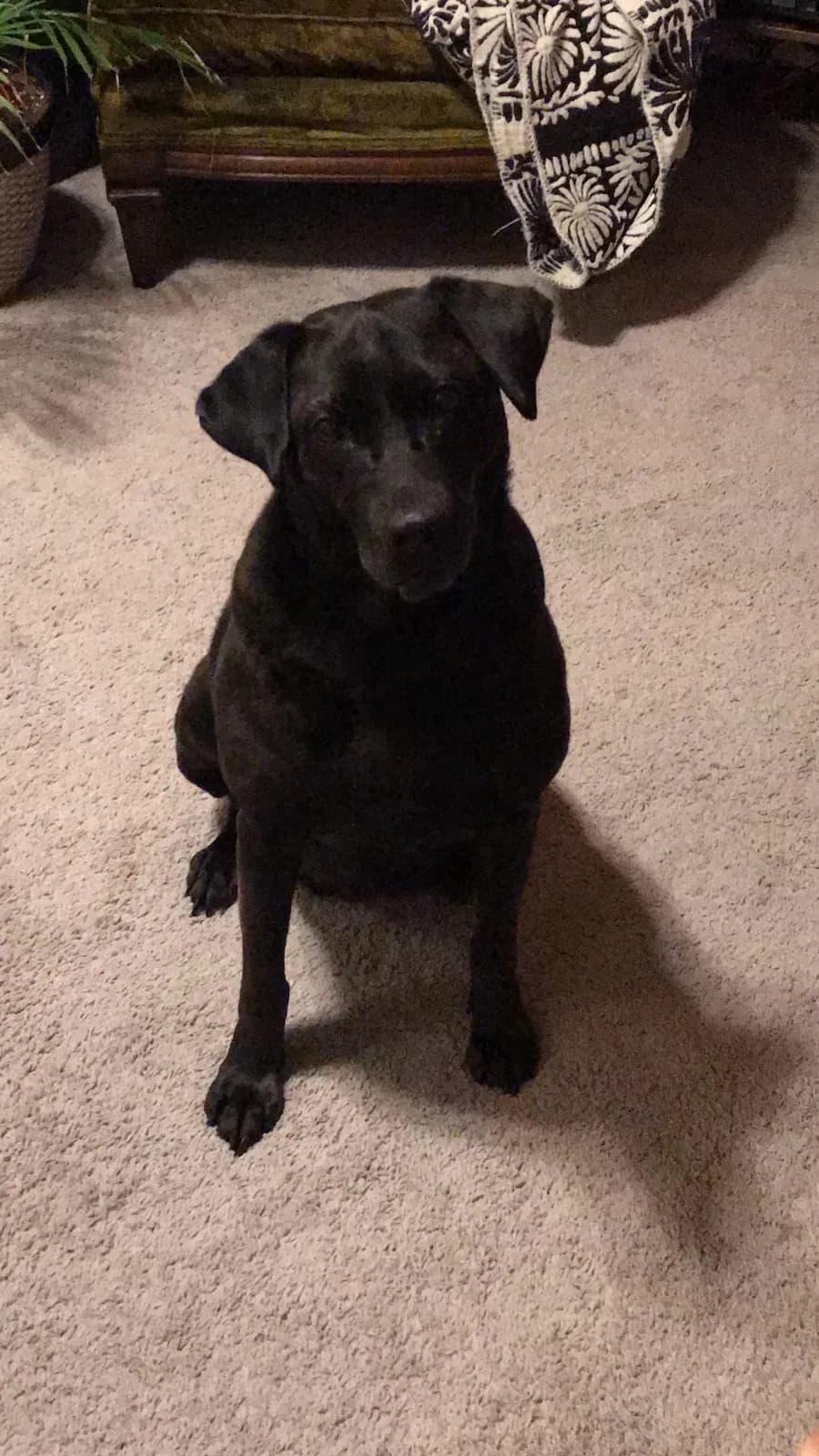 Libby, back home in Wisconsin