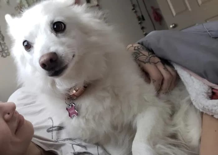 Athena, back home in Colorado