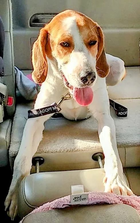 Cooper, back home in New Jersey