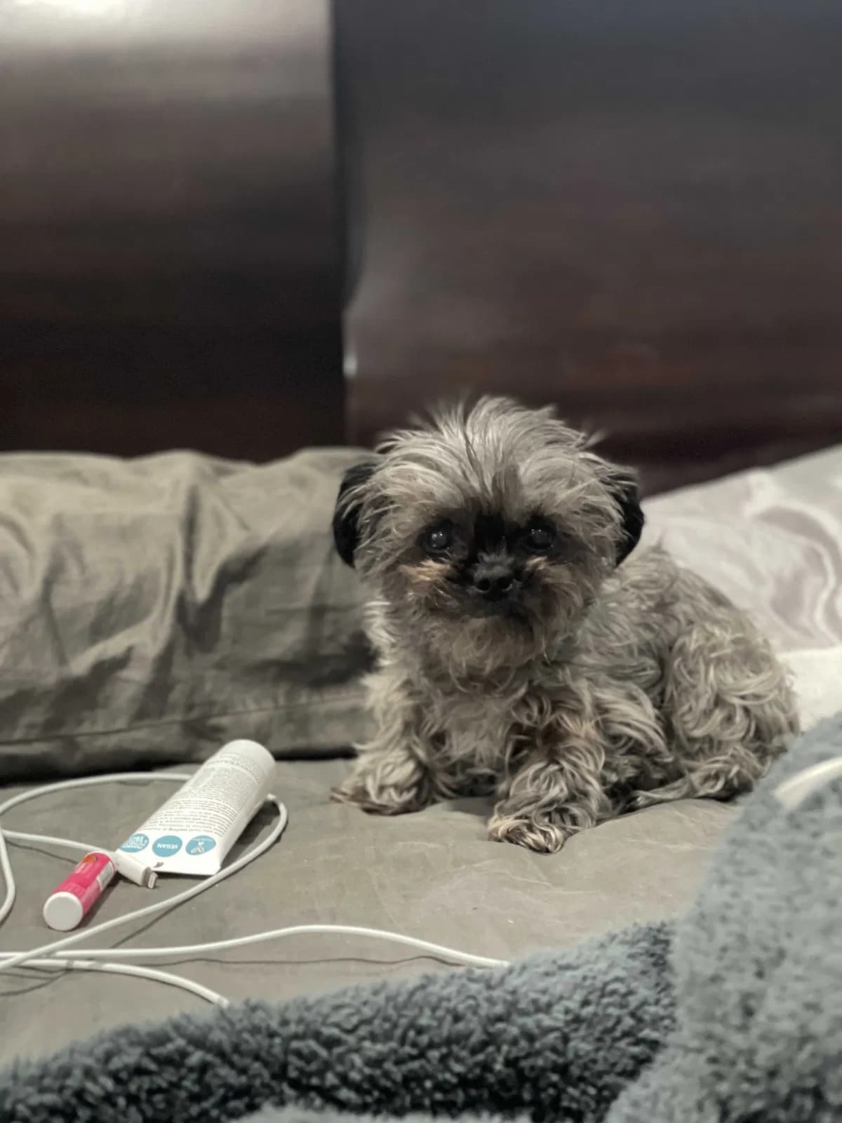 Sophia, back home in Texas