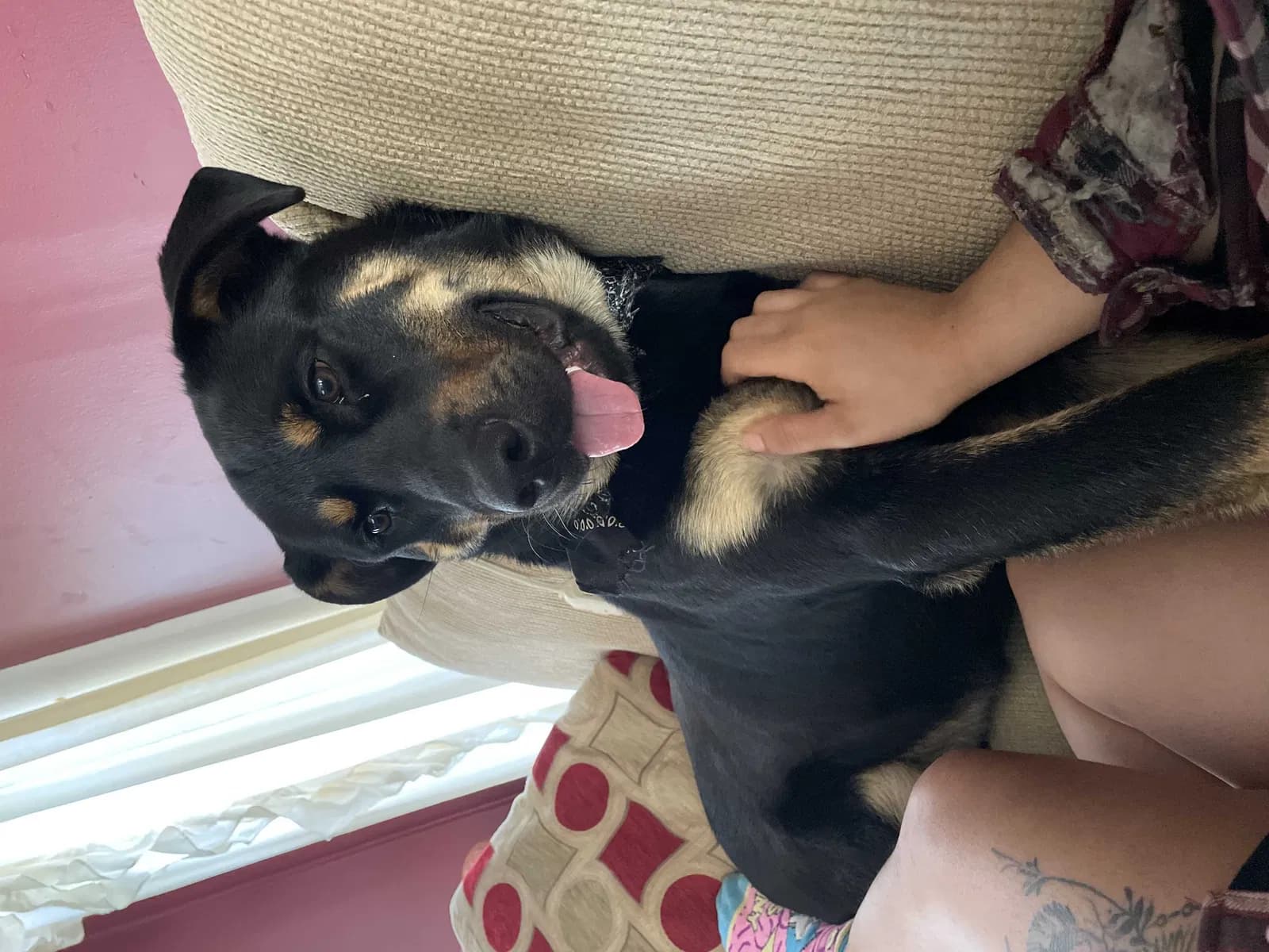 Rico, back home in South Carolina