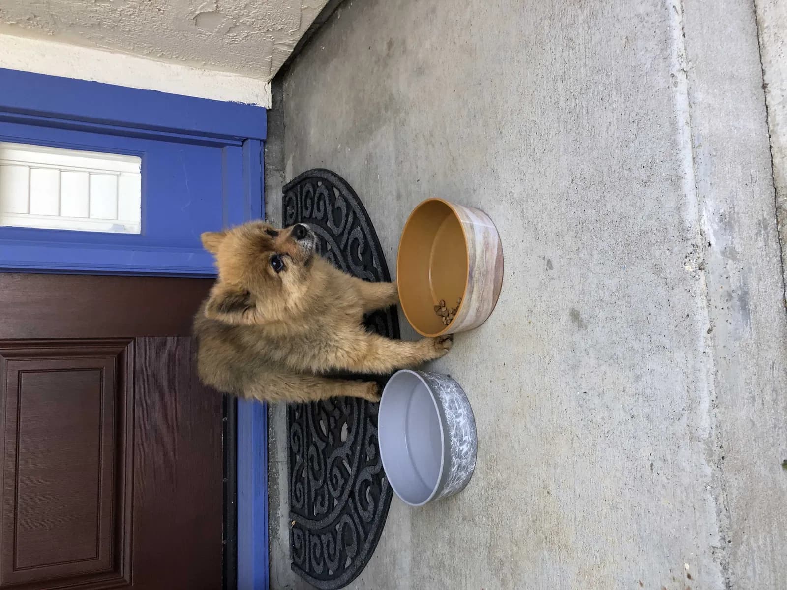 Unknown, back home in California