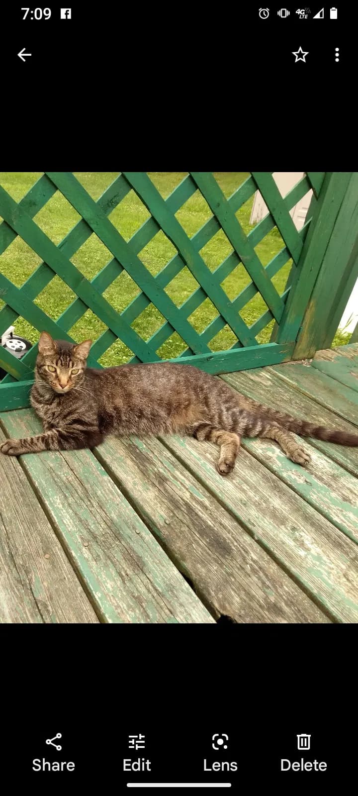 Meshach, back home in Ohio
