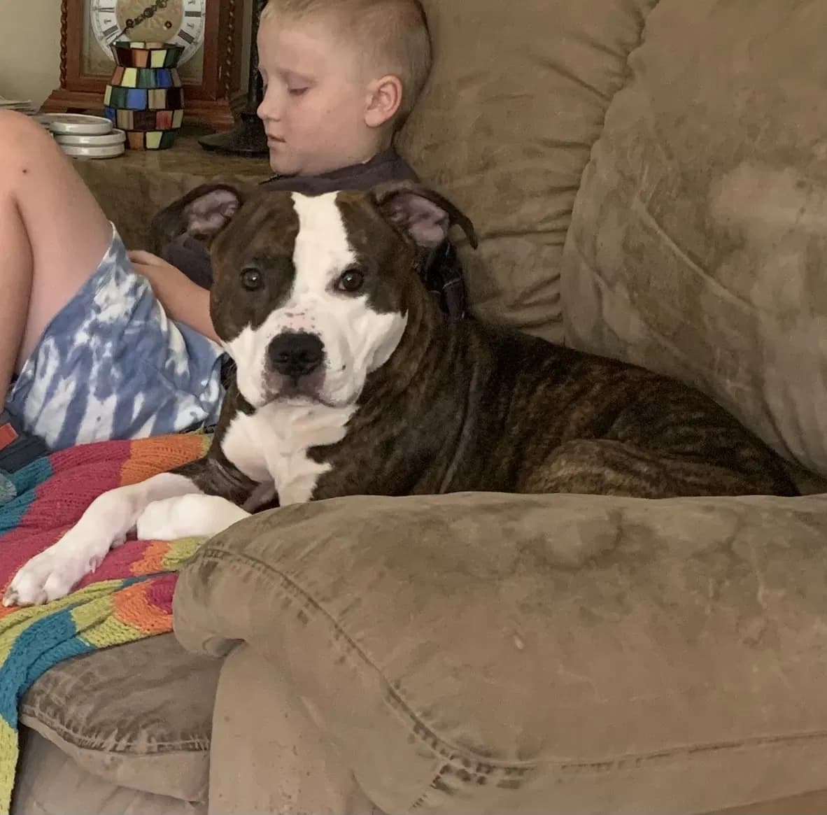 Jax, or jackie boo, back home in Michigan