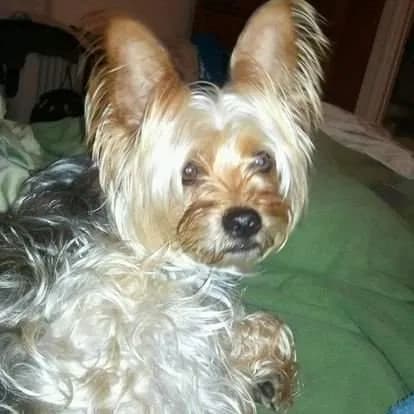 Quincy Jake, back home in Missouri