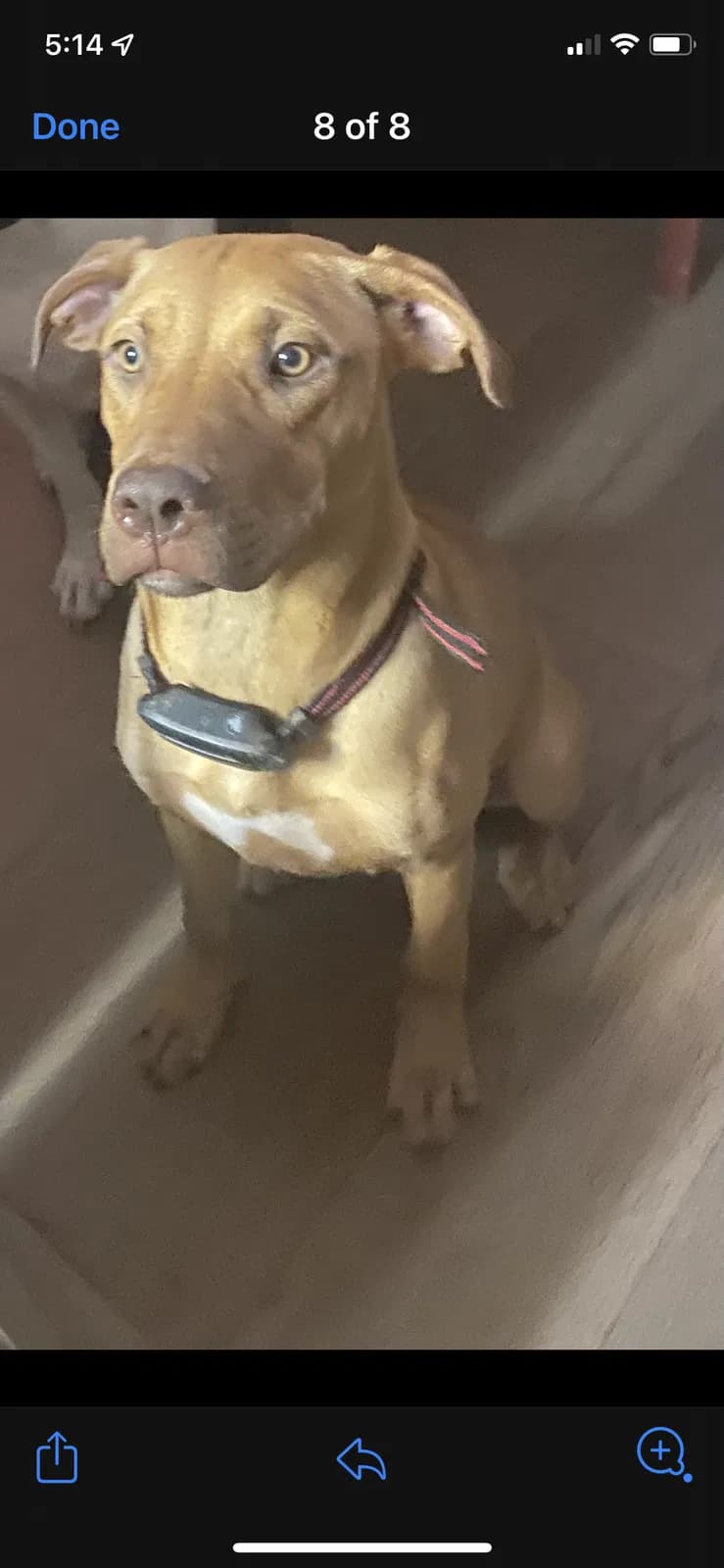 Raina, back home in Ohio