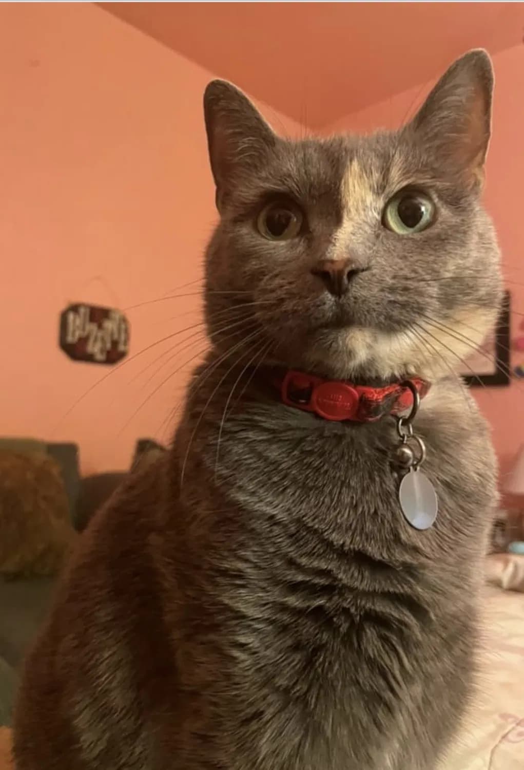 Little Girl, back home in Michigan
