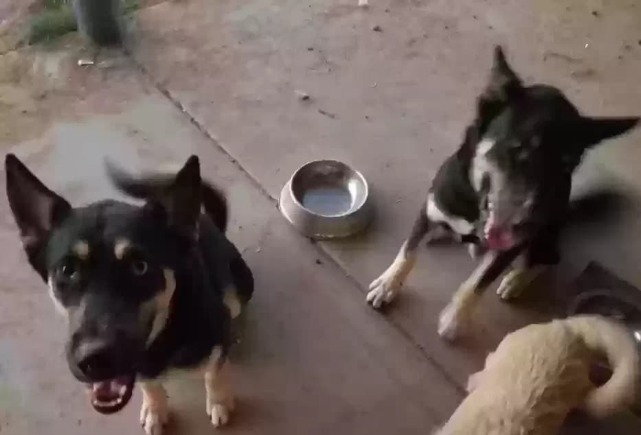 Kian- Still Missing, back home in Arizona