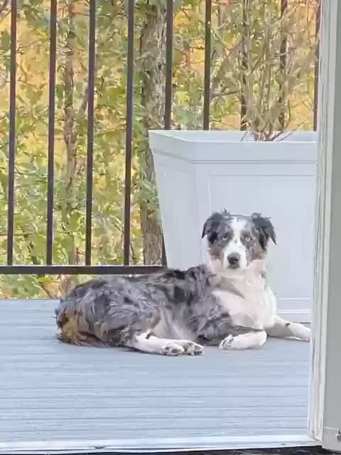 Sophie, back home in Louisiana