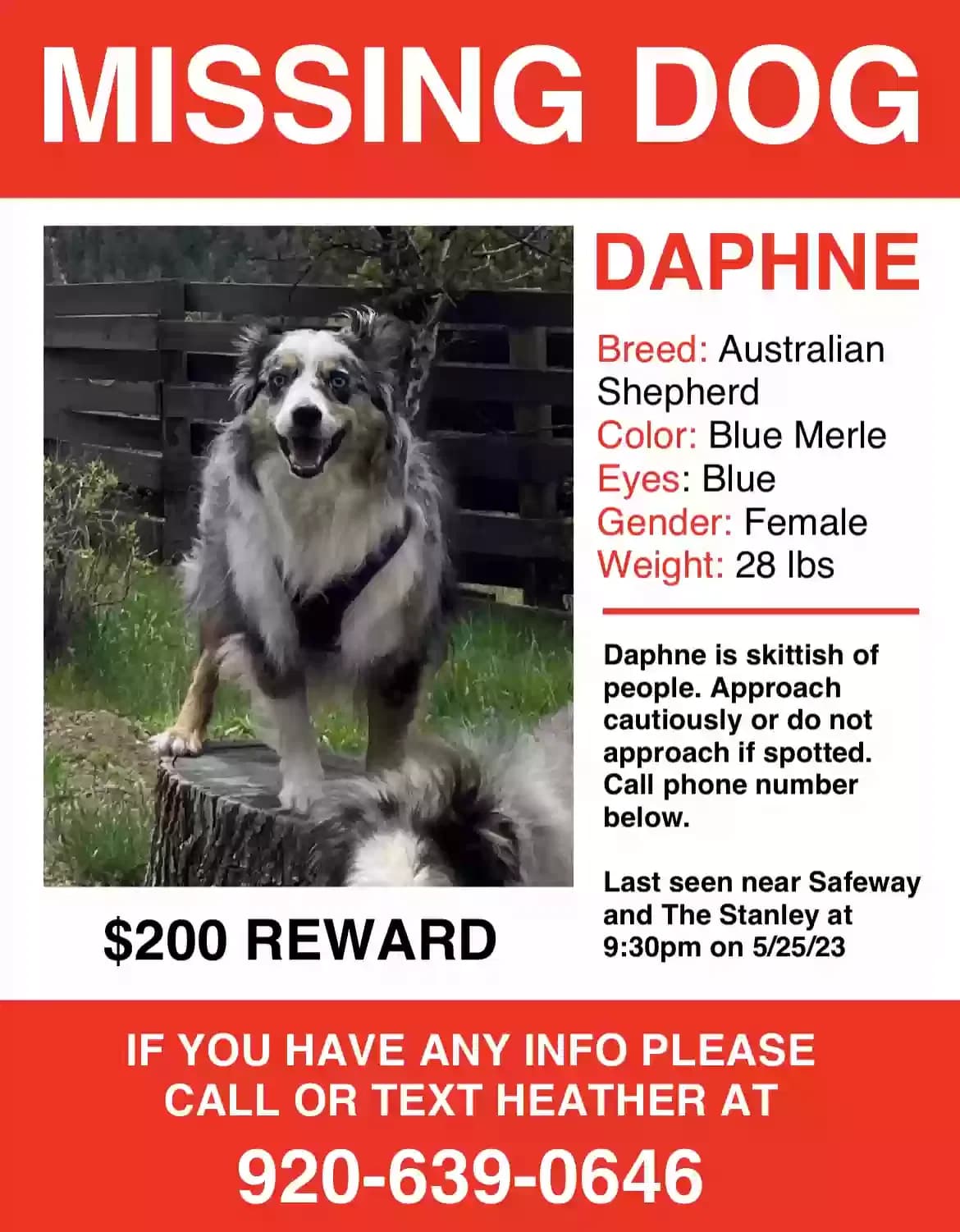 Daphne, back home in Colorado