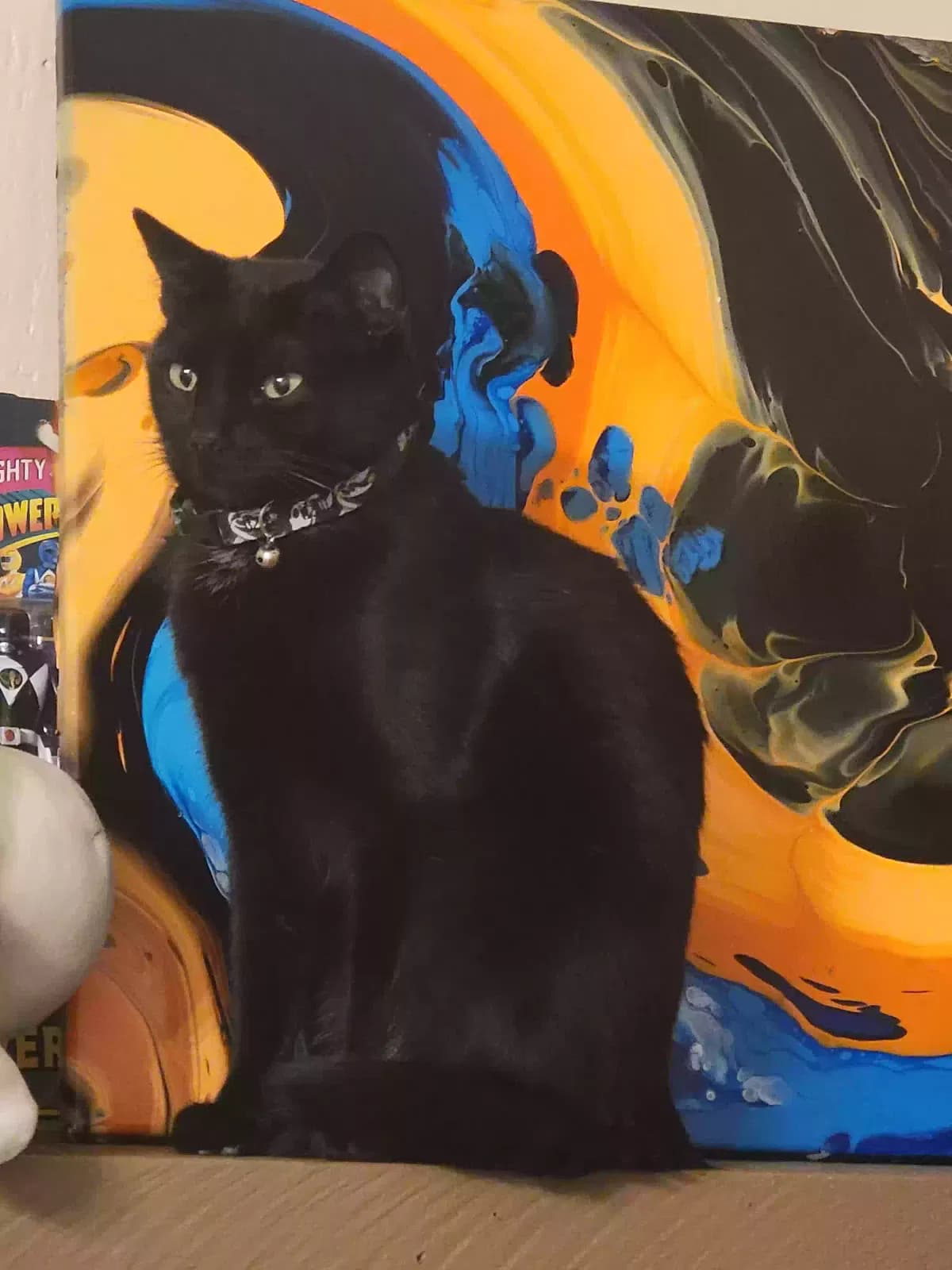Binx, back home in California