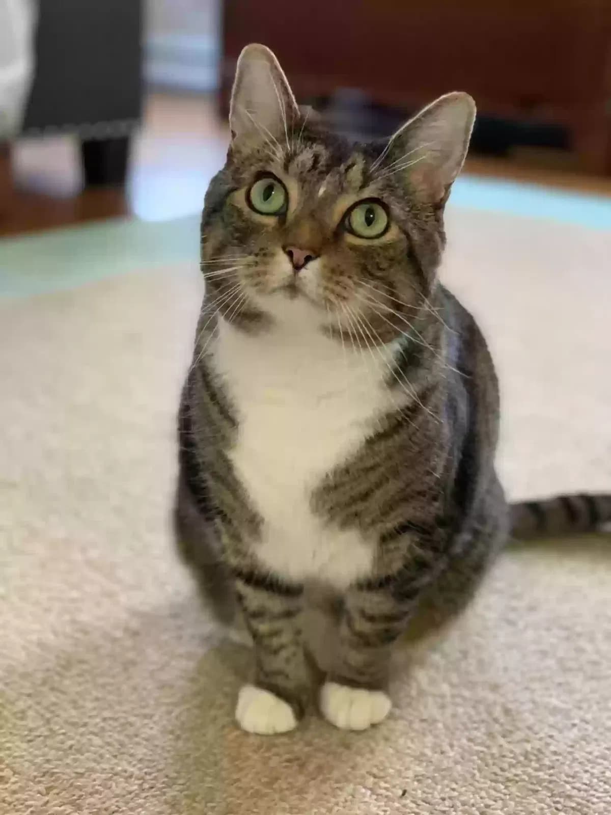 Mick or Mickey, back home in North Carolina