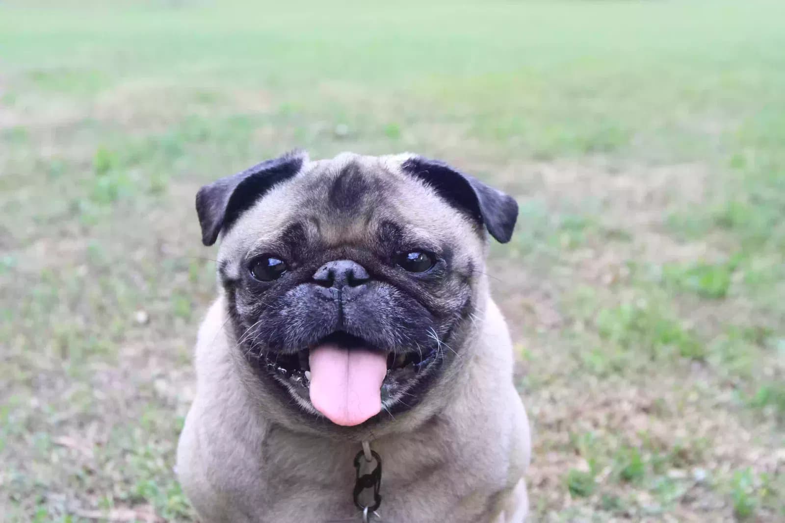 Bruce, back home in Florida