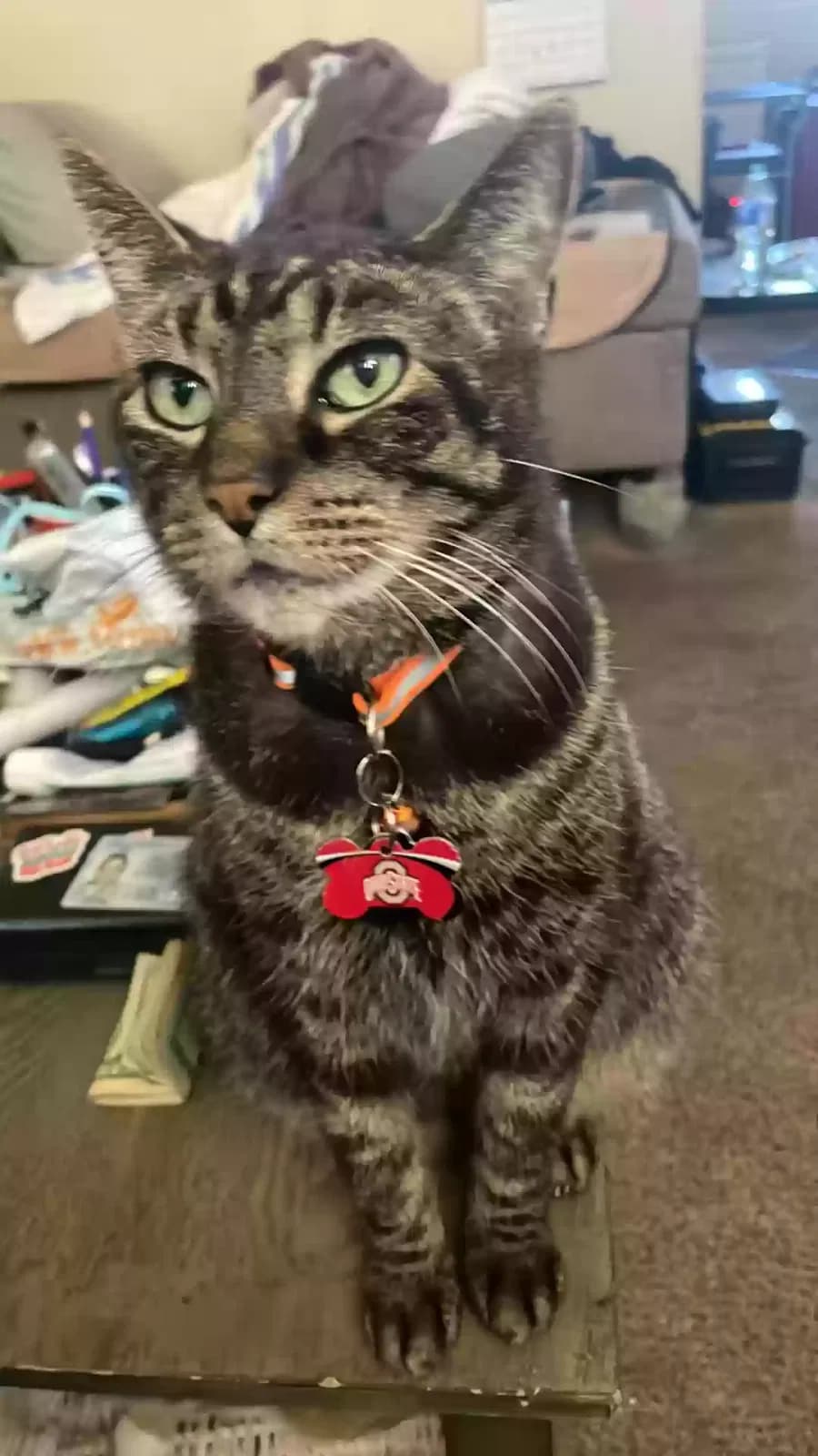 Tibbs, back home in Ohio