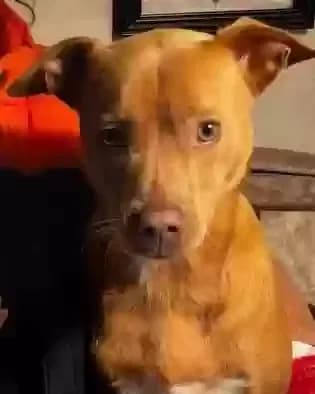 Kane, back home in Virginia