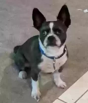 Tucker, back home in North Carolina