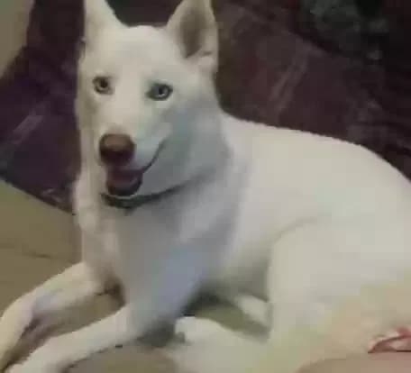 Livvy, back home in Alabama