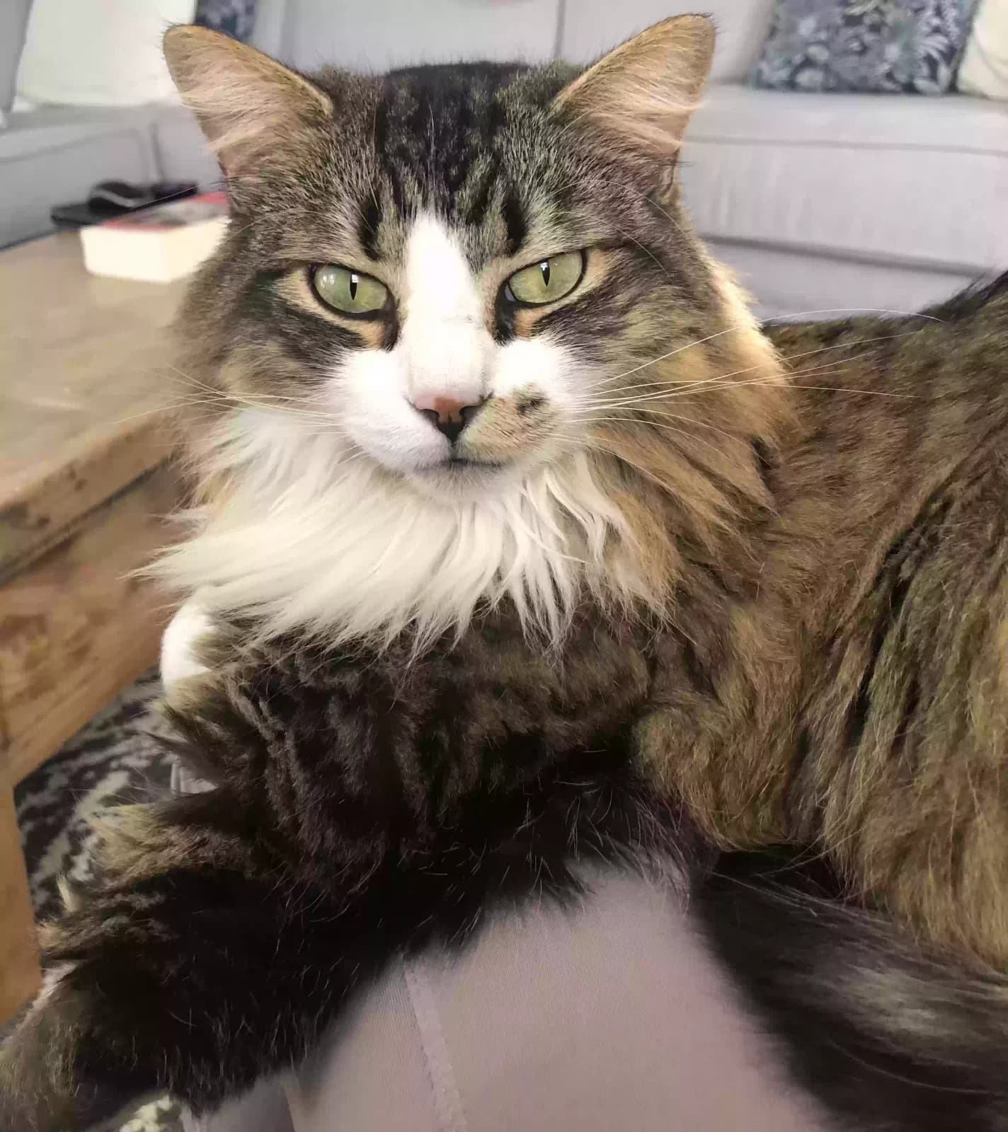 Chairman Mao, back home in South Carolina