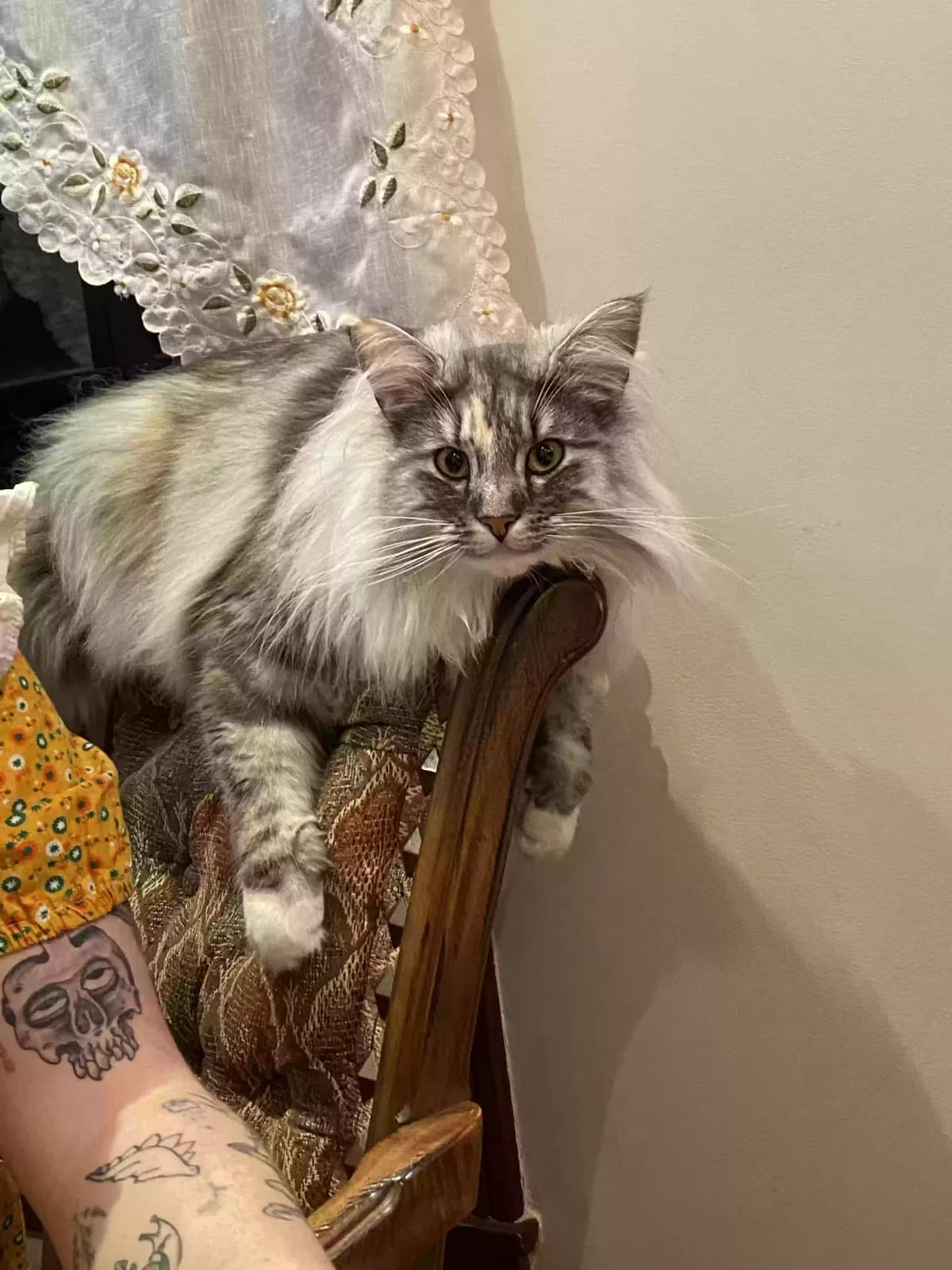 Signe, back home in California