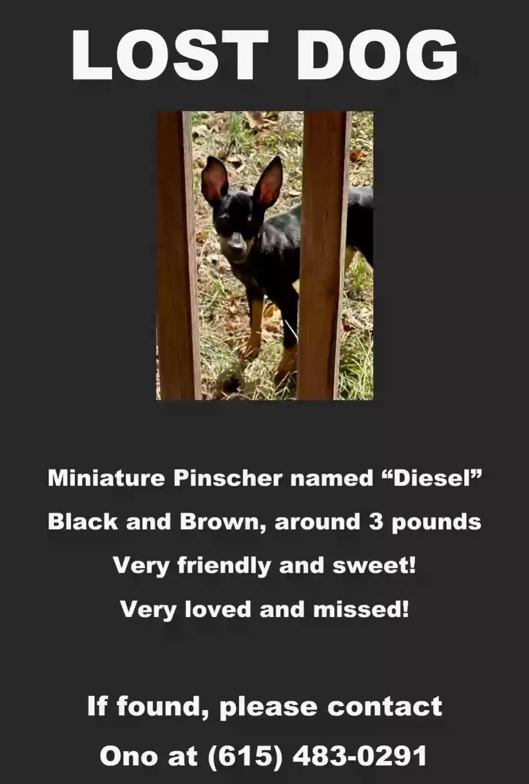 Diesel, back home in Tennessee