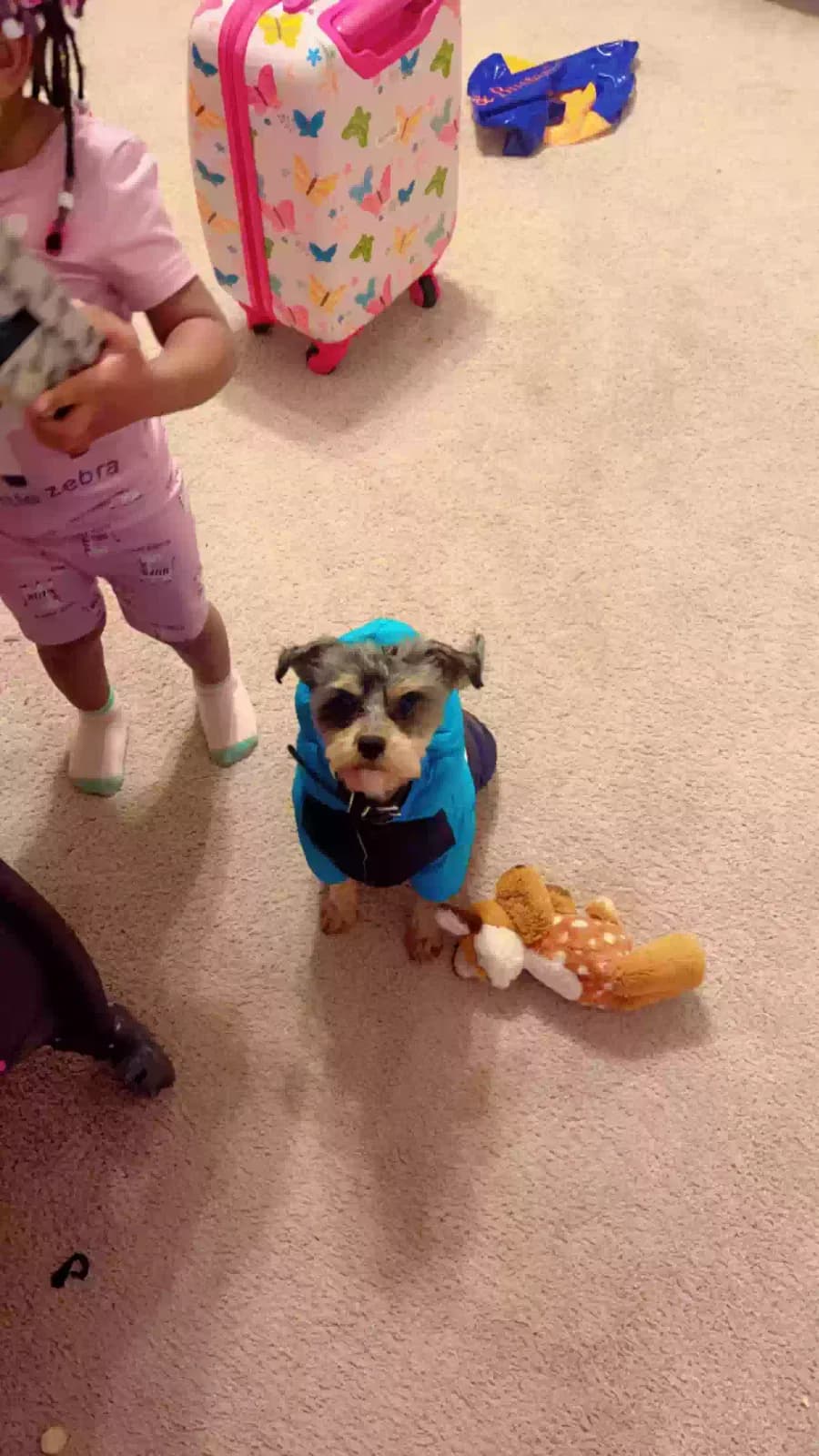 Teddy, back home in Tennessee