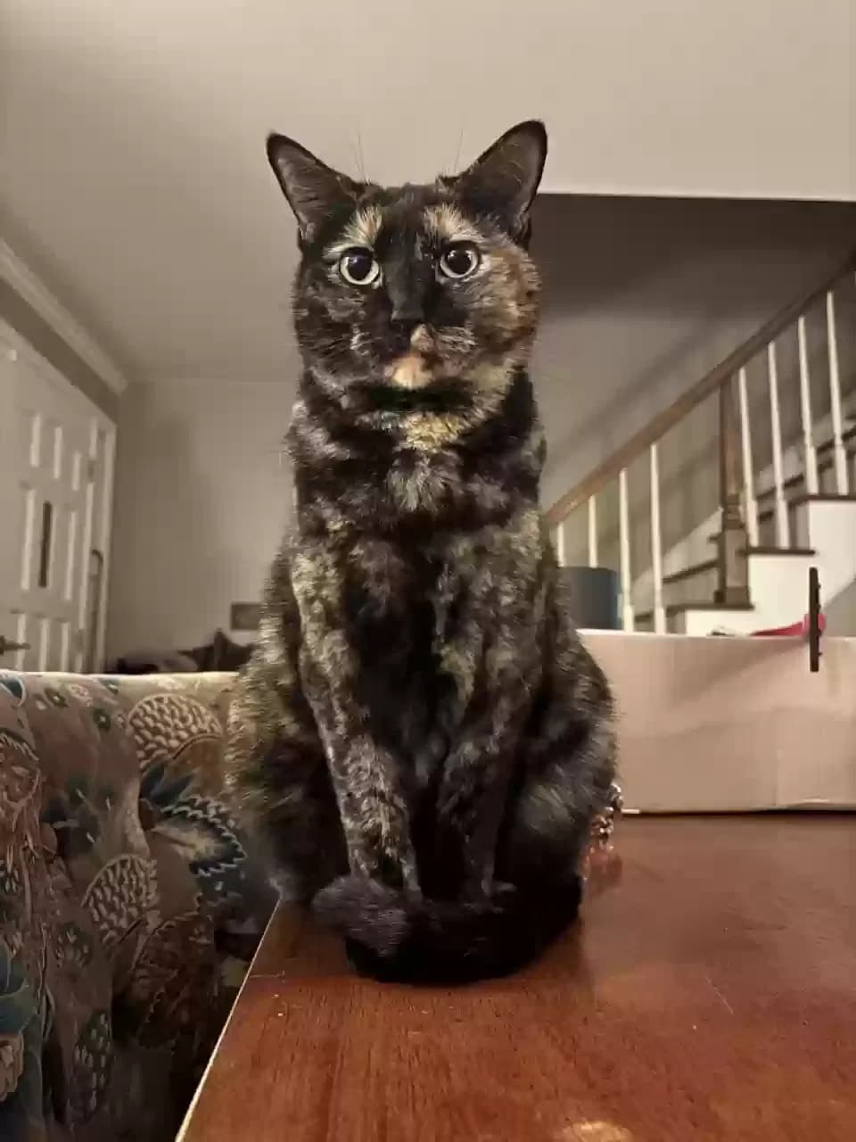 Queen Latifa, back home in Colorado