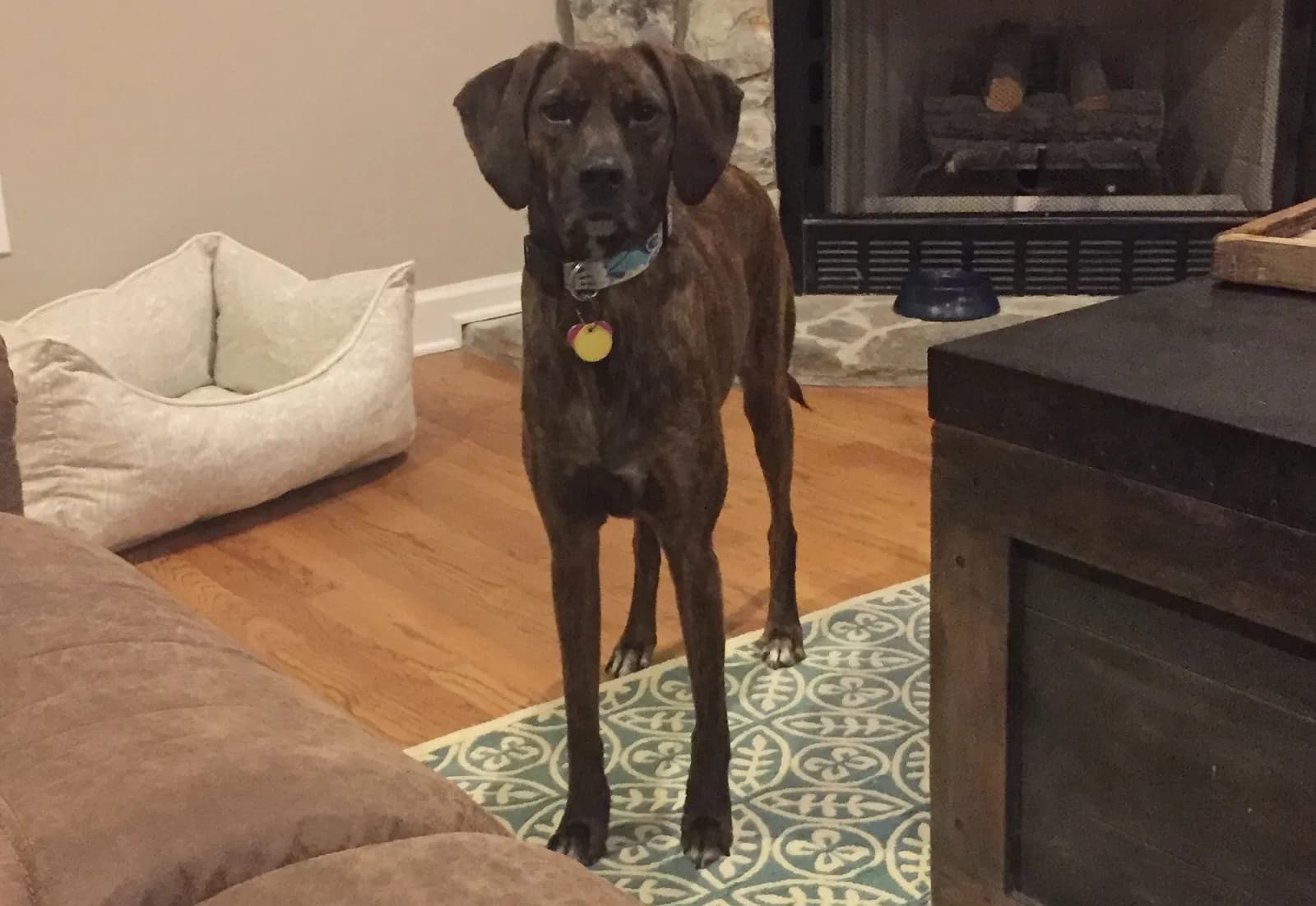 Kiely (pronounced Ky, back home in Greenville SC