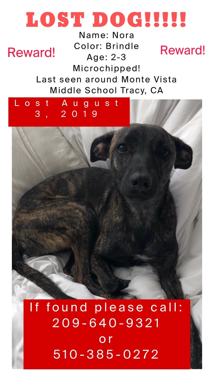 Nora, back home in Tracy CA