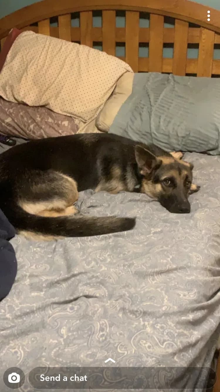 Margot, back home in Edwardsville KS