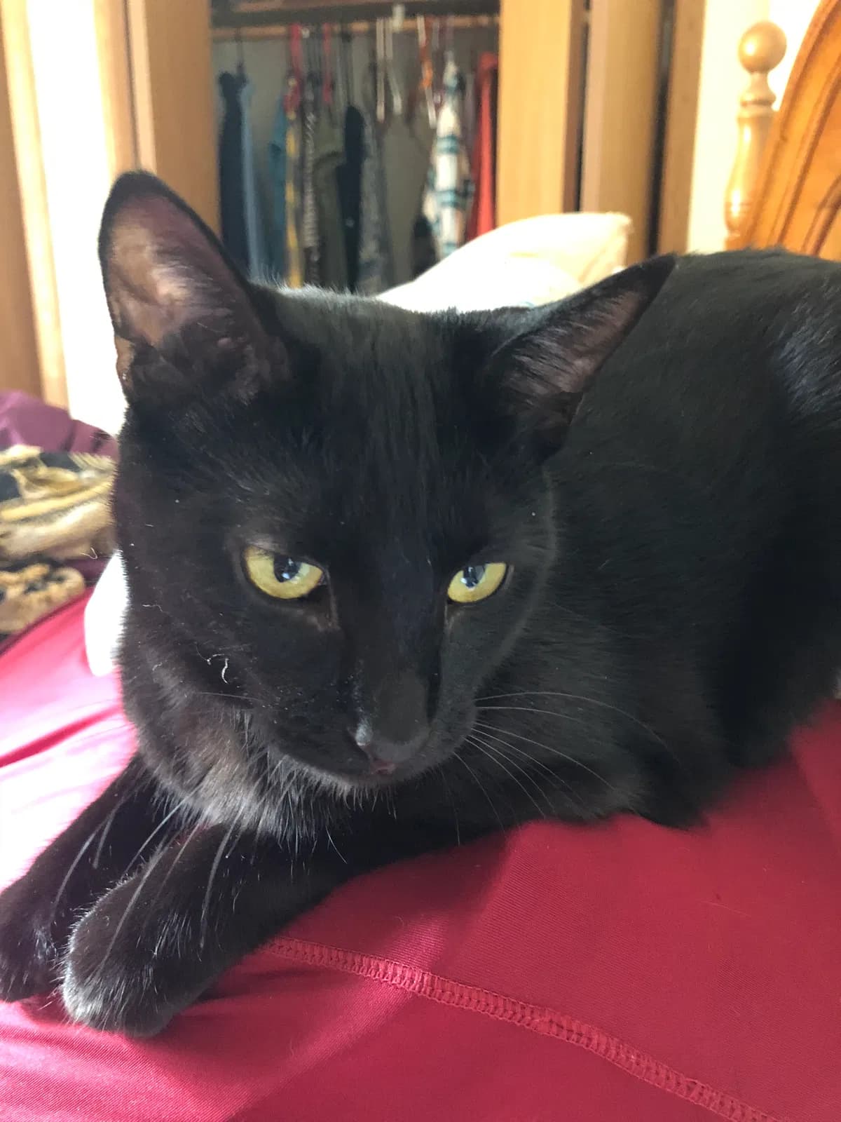 Vivian, back home in Neenah WI