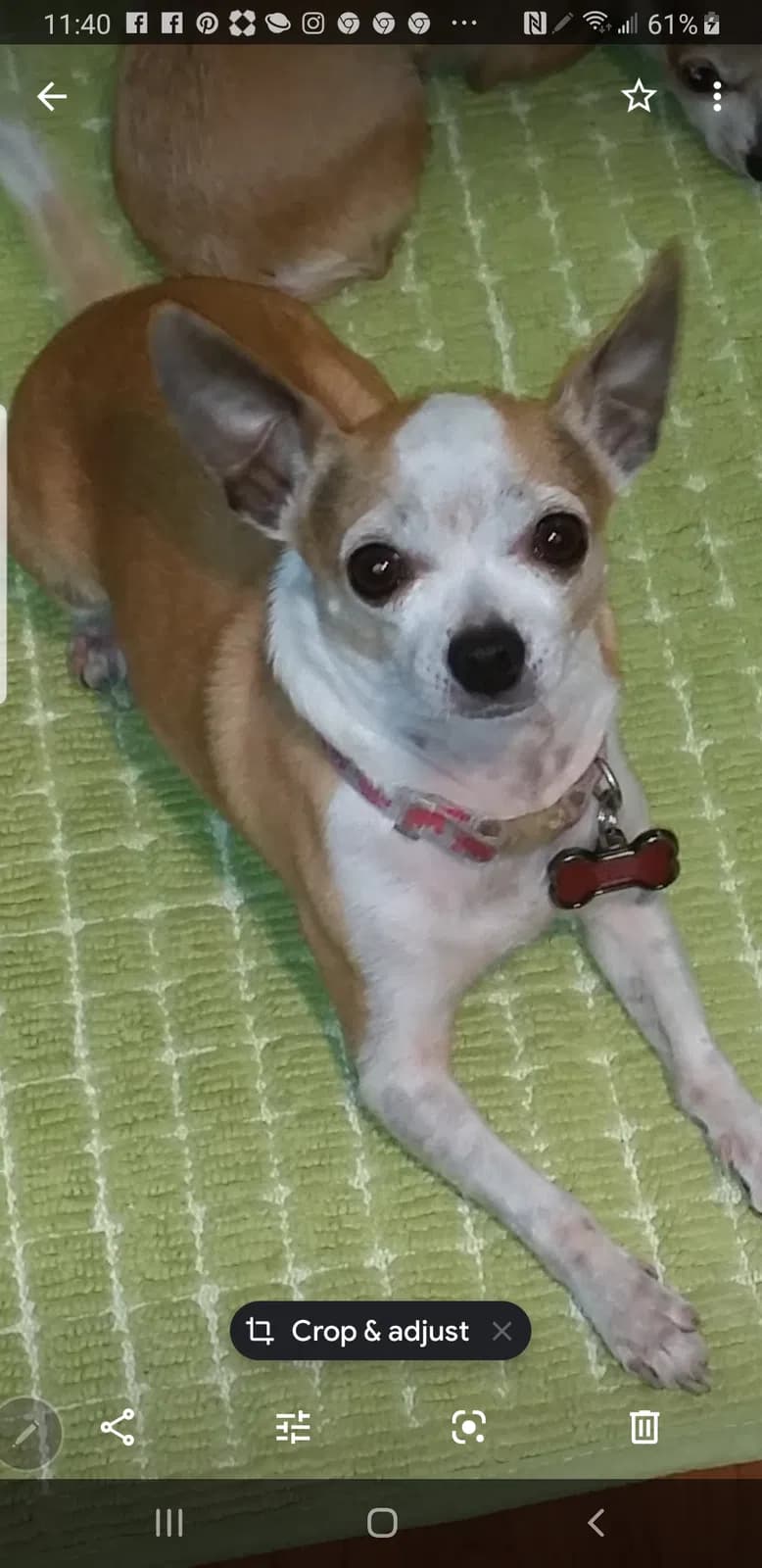 WASABI, back home in Hollywood FL