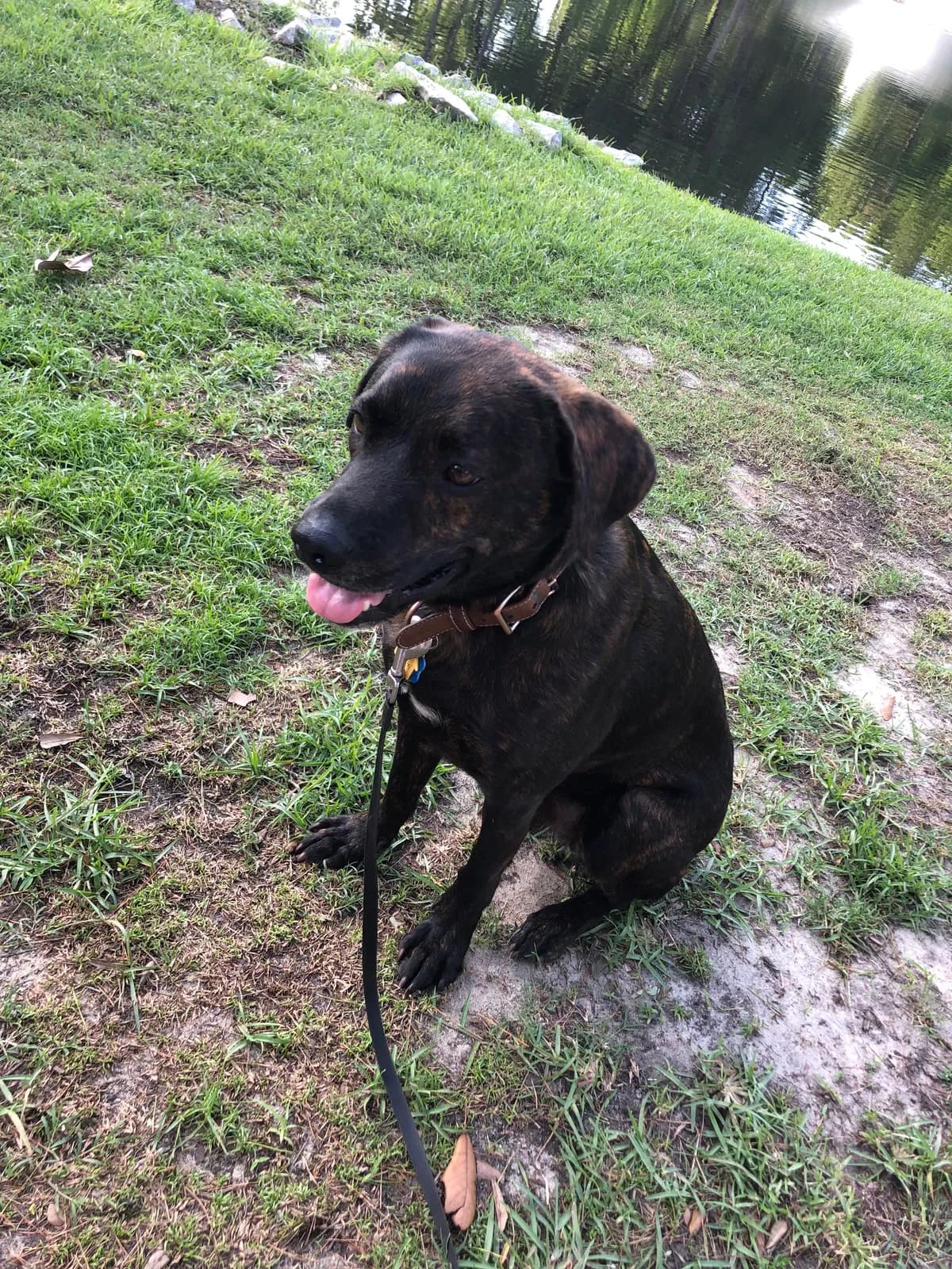 Charlie, back home in Columbia SC