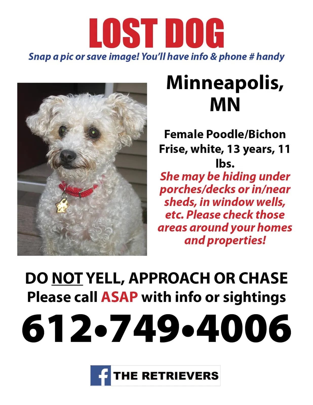 Sophie, back home in Minneapolis MN